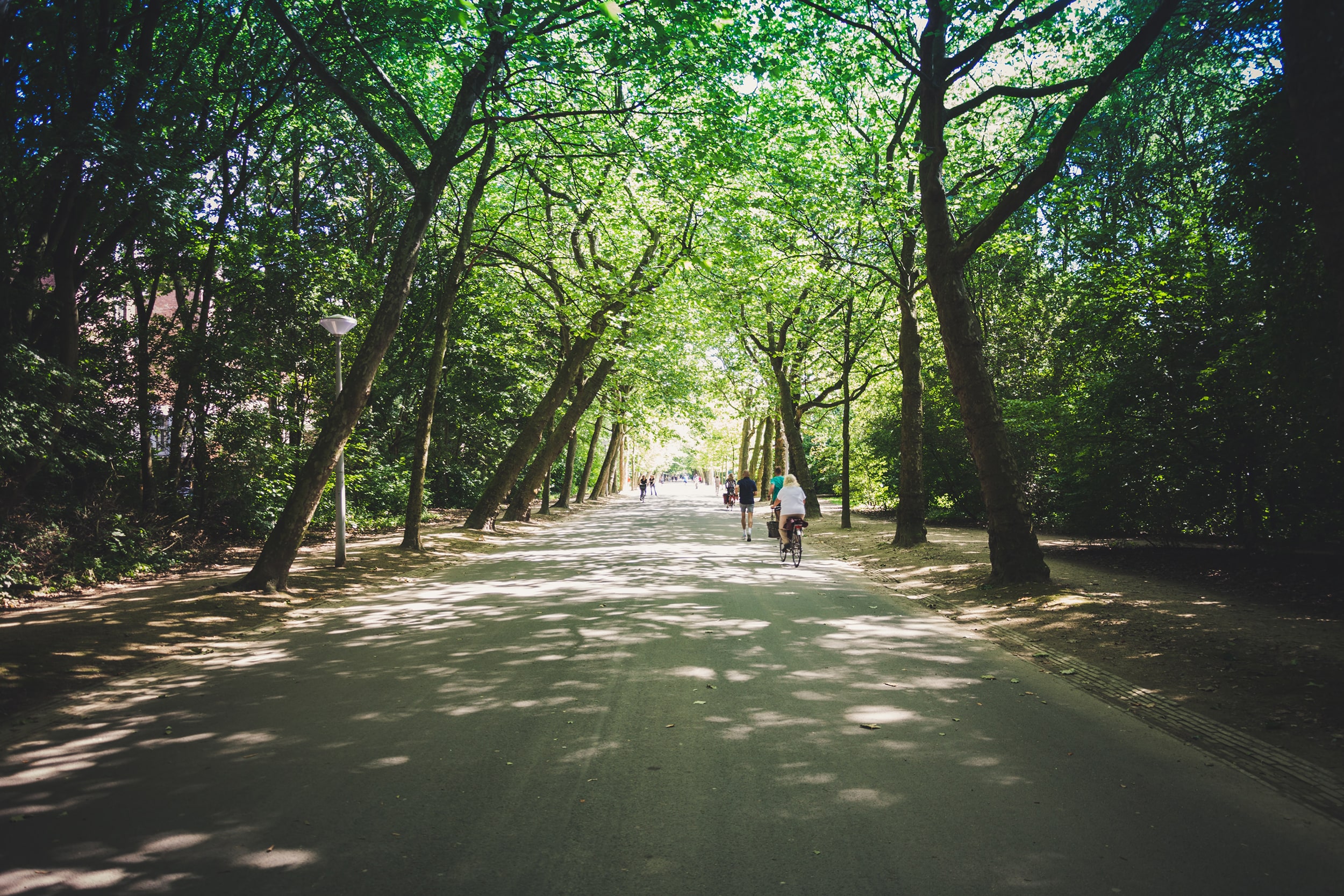 Parc Elange